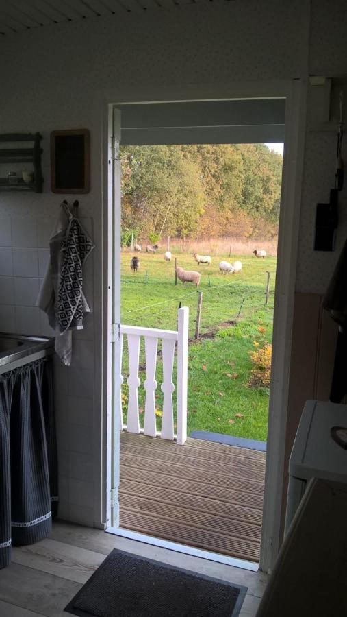 Pipowagen Elsebein Groningen Westerwolde Unieke Ligging Met Eigen Tuin En Vrij Uitzicht Over Veld Naar Natuurgebied Onstwedde Exterior photo