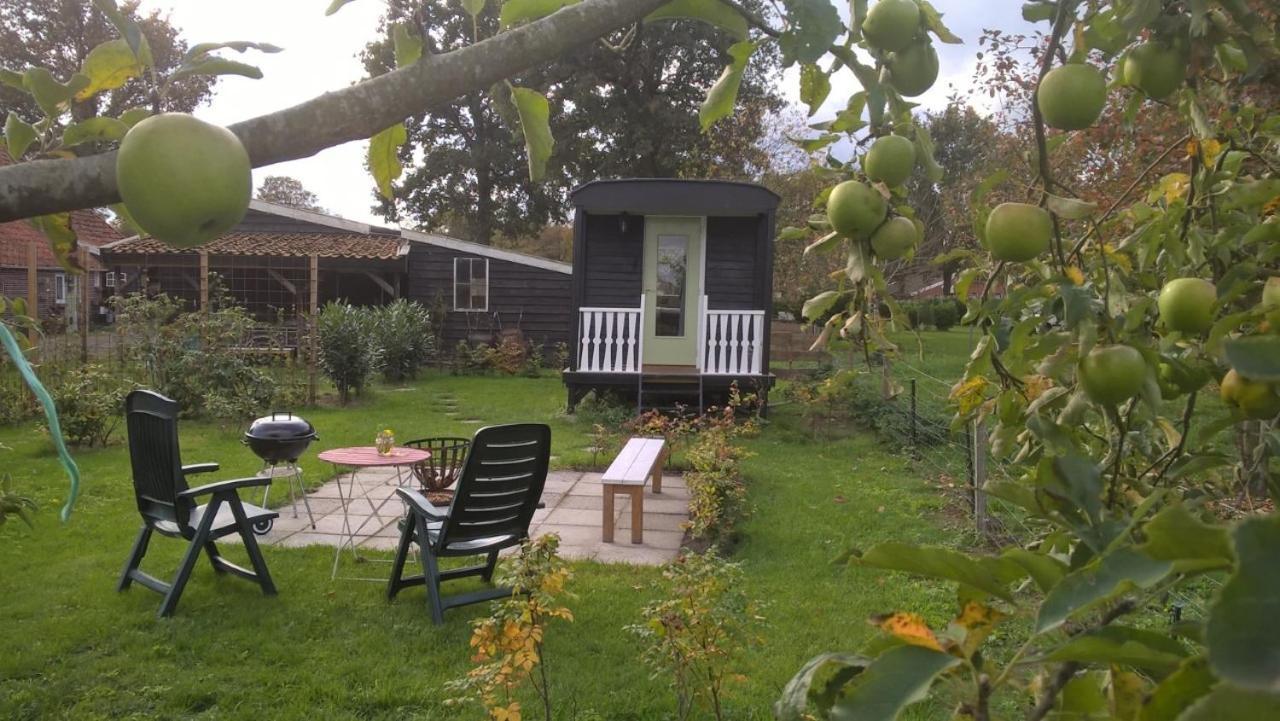 Pipowagen Elsebein Groningen Westerwolde Unieke Ligging Met Eigen Tuin En Vrij Uitzicht Over Veld Naar Natuurgebied Onstwedde Exterior photo