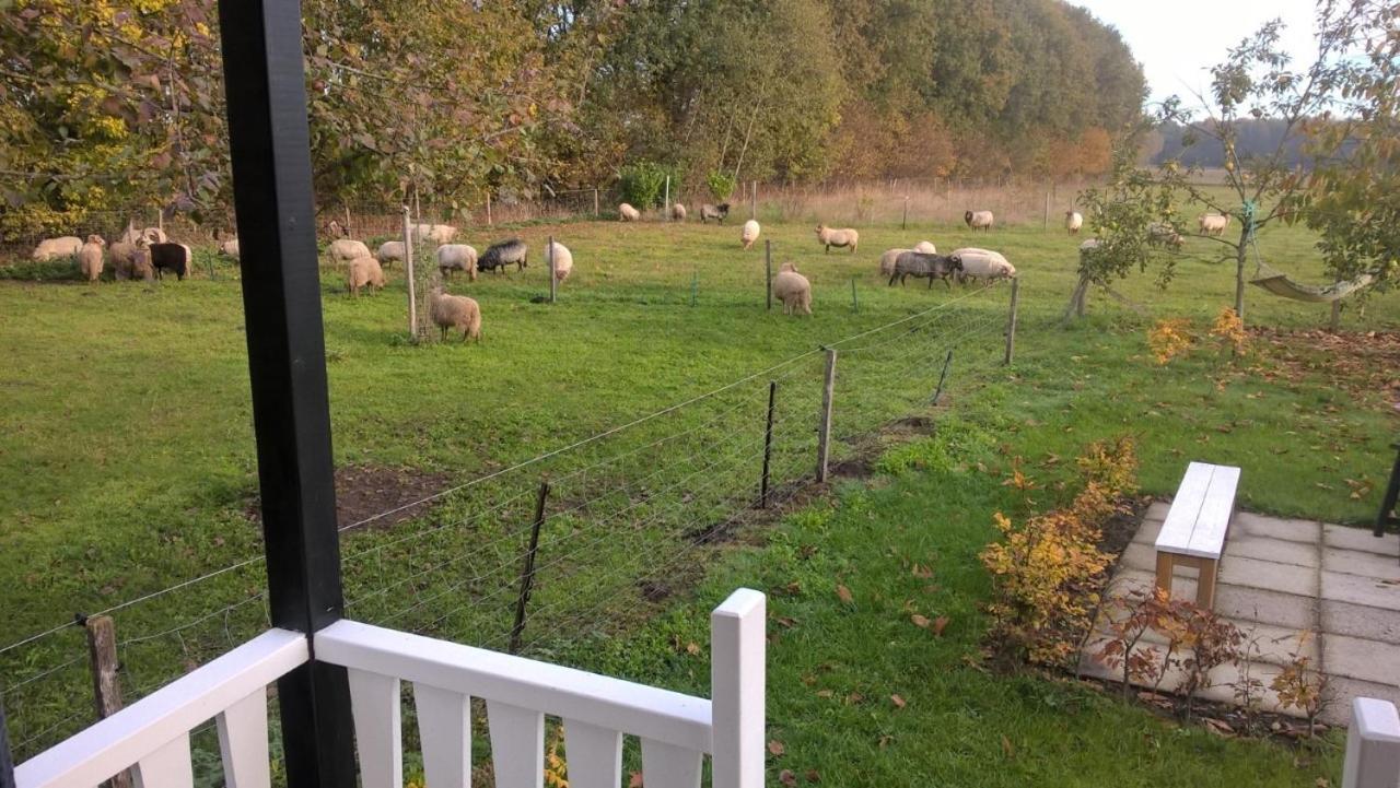Pipowagen Elsebein Groningen Westerwolde Unieke Ligging Met Eigen Tuin En Vrij Uitzicht Over Veld Naar Natuurgebied Onstwedde Exterior photo