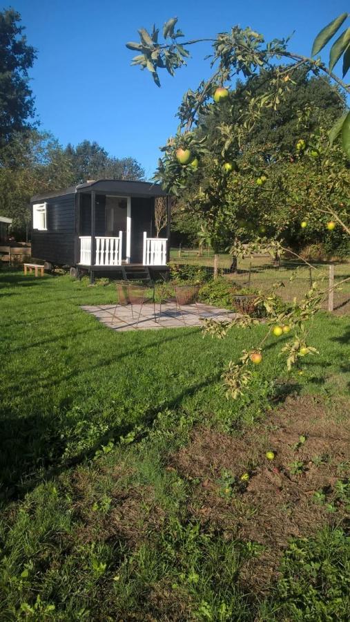 Pipowagen Elsebein Groningen Westerwolde Unieke Ligging Met Eigen Tuin En Vrij Uitzicht Over Veld Naar Natuurgebied Onstwedde Exterior photo