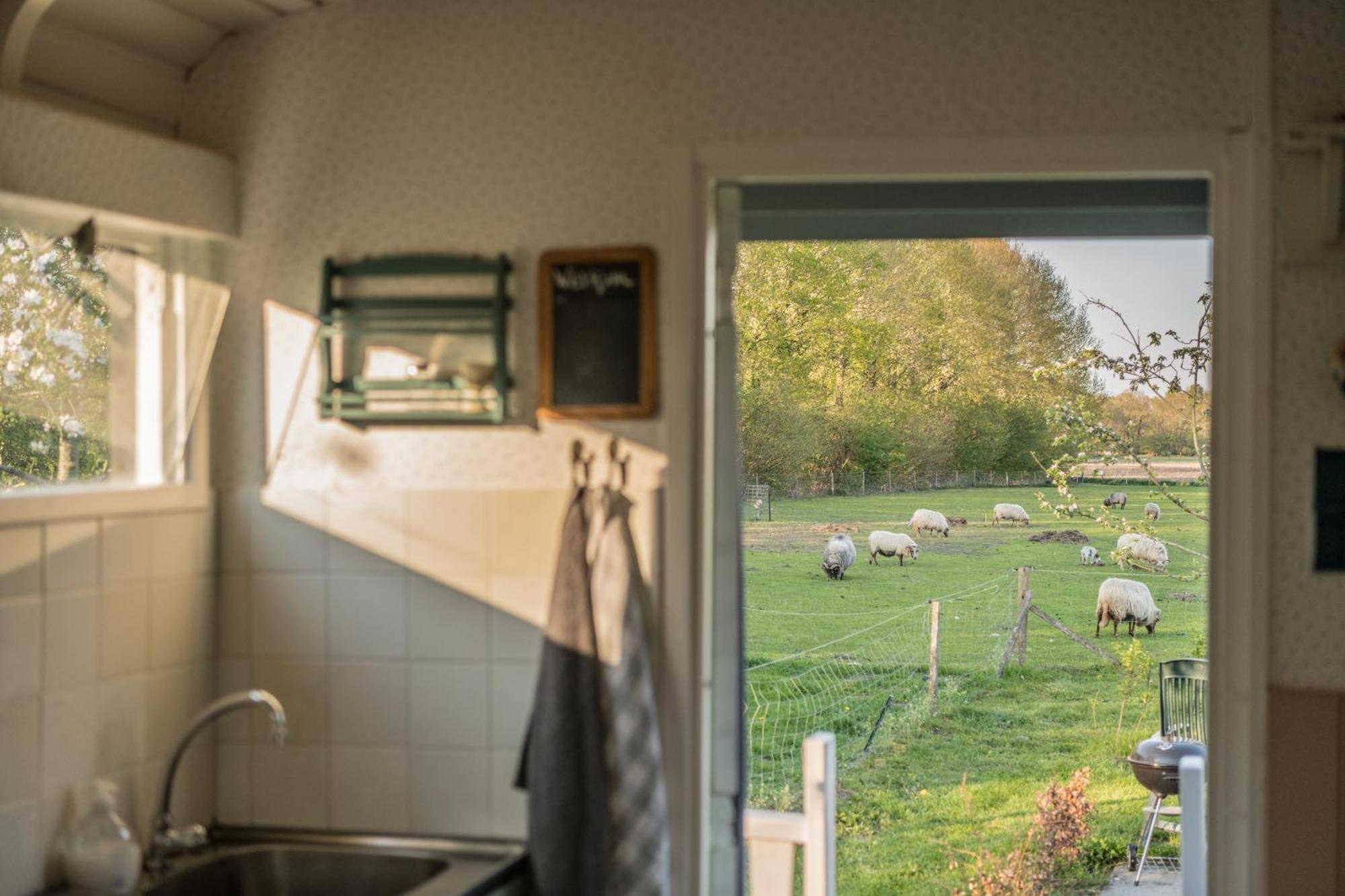 Pipowagen Elsebein Groningen Westerwolde Unieke Ligging Met Eigen Tuin En Vrij Uitzicht Over Veld Naar Natuurgebied Onstwedde Exterior photo